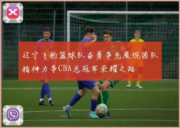 辽宁飞豹篮球队奋勇争先展现团队精神力争CBA总冠军荣耀之路