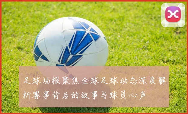 足球场报聚焦全球足球动态深度解析赛事背后的故事与球员心声